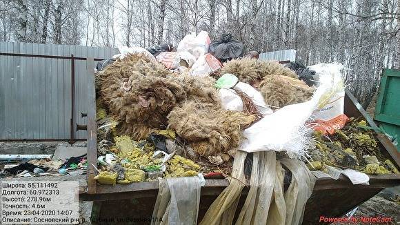 В Челябинской области среди бытового мусора оказались гробы, останки скота и боевая мина - znak.com - Челябинская обл.