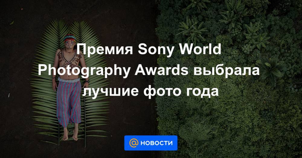 Премия Sony World Photography Awards выбрала лучшие фото года - news.mail.ru - Россия - Уругвай