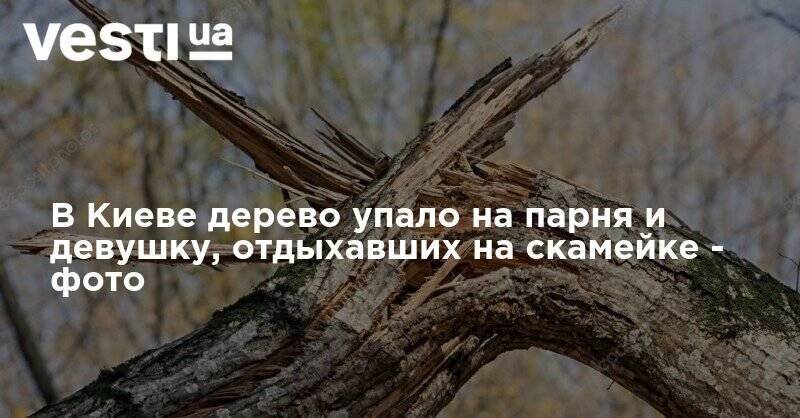 В Киеве дерево упало на парня и девушку, отдыхавших на скамейке - фото - vesti.ua - Украина - Киев
