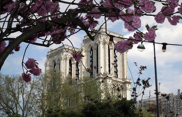 Эммануэль Макрон - В фонде Нотр-Дама усомнились в возможности восстановить собор к 2024 году - interfax.ru - Москва - Франция