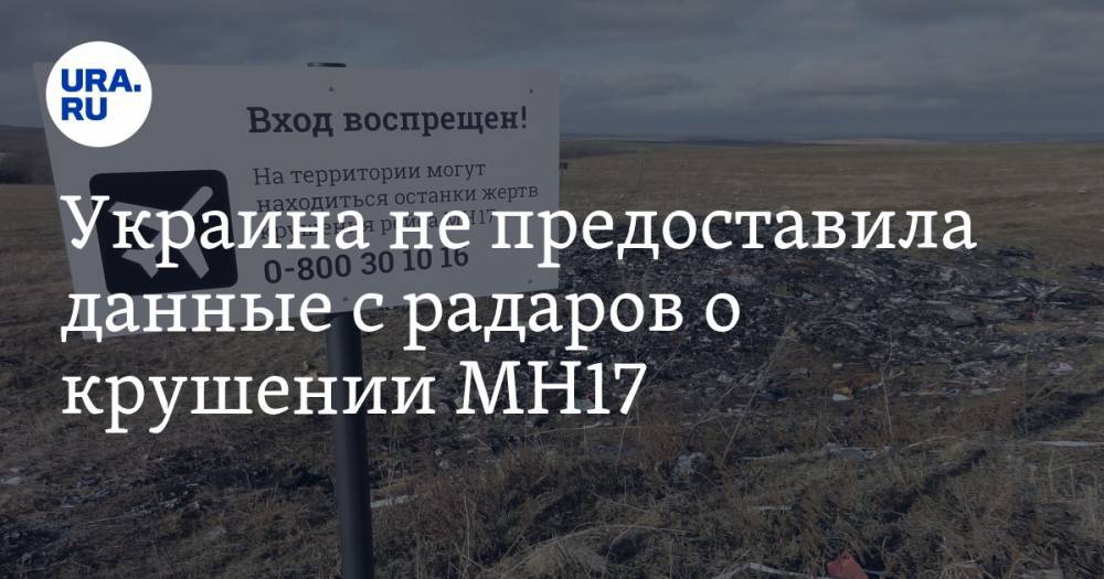 Тейс Бергер - Украина не предоставила данные с радаров о крушении MH17 - ura.news - Украина - ДНР - Донецк