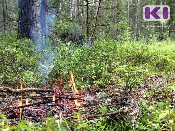 В пяти муниципалитетах Коми ожидается чрезвычайно высокая пожароопасность - komiinform.ru - Россия - респ. Коми - Сосногорск - Печорск