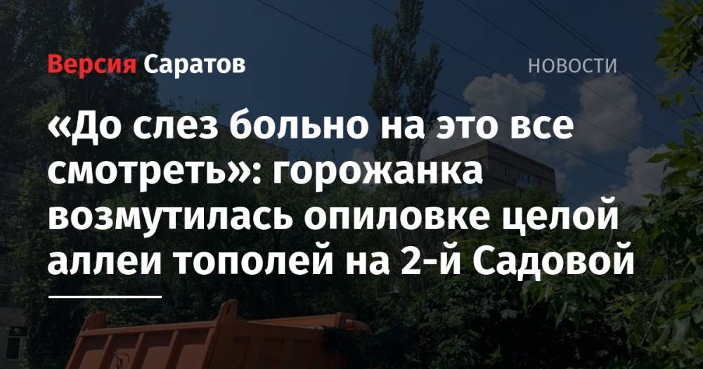 «До слез больно на это все смотреть»: горожанка возмутилась опиловке целой аллеи тополей на 2-й Садовой - nversia.ru - Саратов