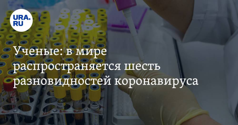 Ученые: в мире распространяется шесть разновидностей коронавируса - ura.news