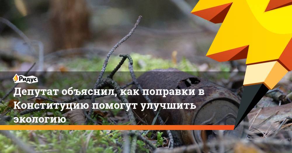 Депутат объяснил, как поправки в Конституцию помогут улучшить экологию - ridus.ru