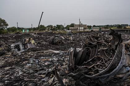 Тейс Бергер - В суде по MH17 оценили данные об отсутствии истребителя и ракеты - lenta.ru - Россия - Украина - Голландия