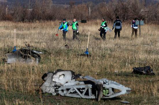 Тейс Бергер - Украина не предоставила первичные данные с радаров в день крушения MH17, заявили в Нидерландах - pnp.ru - Украина - Донецк - Голландия
