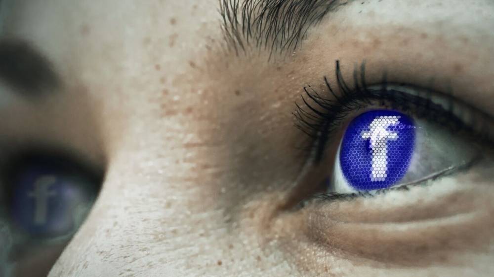 Вадим Манукян - Манукян предложил заблокировать Facebook за несоблюдение российских законов - riafan.ru - Москва - Россия