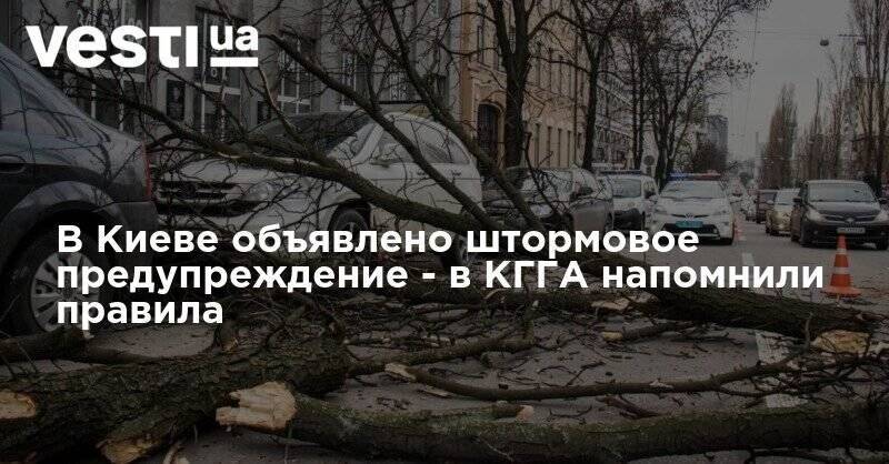 В Киеве объявлено штормовое предупреждение - в КГГА напомнили правила - vesti.ua - Украина - Киев