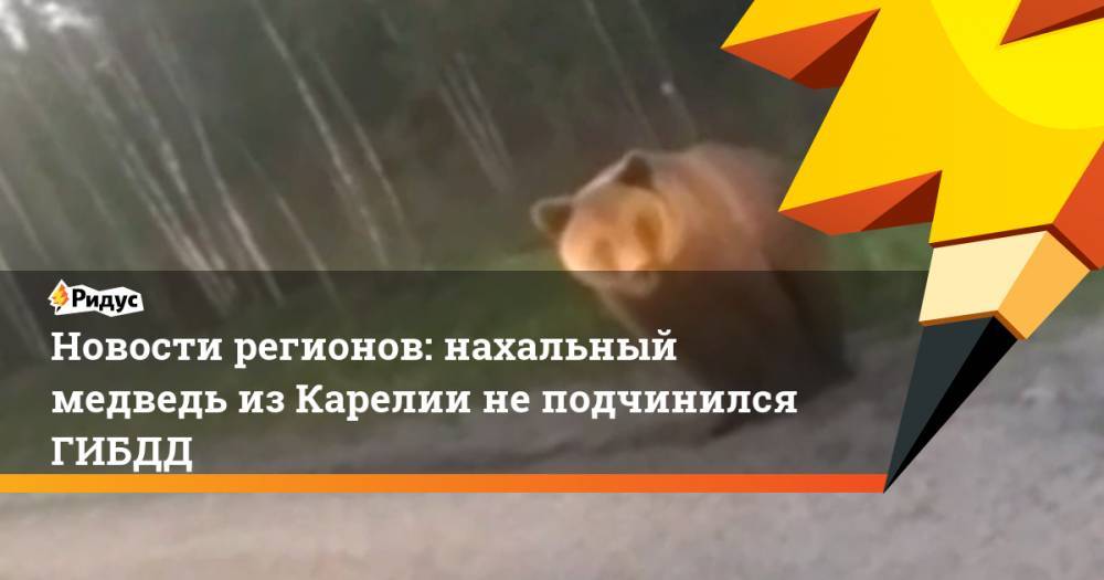 Новости регионов: нахальный медведь из Карелии не подчинился ГИБДД - ridus.ru - Карелия - Омск - Омская обл.