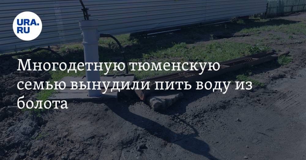 Многодетную тюменскую семью вынудили пить воду из болота. ФОТО - ura.news - район Тобольский