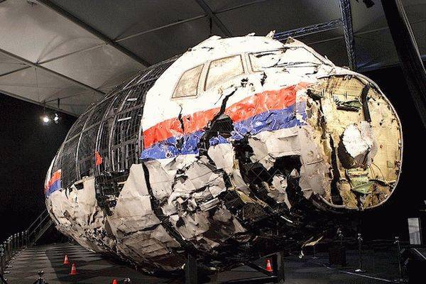 Тейс Бергер - В телах членов экипажа MH17 нашли осколки российской ракеты - real-vin.com - Голландия