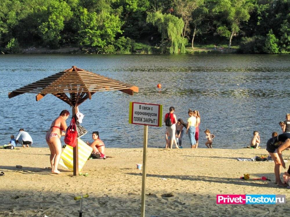 Почти за 50 млн руб в Ростове обустроят пляж на Зеленом острове - privet-rostov.ru