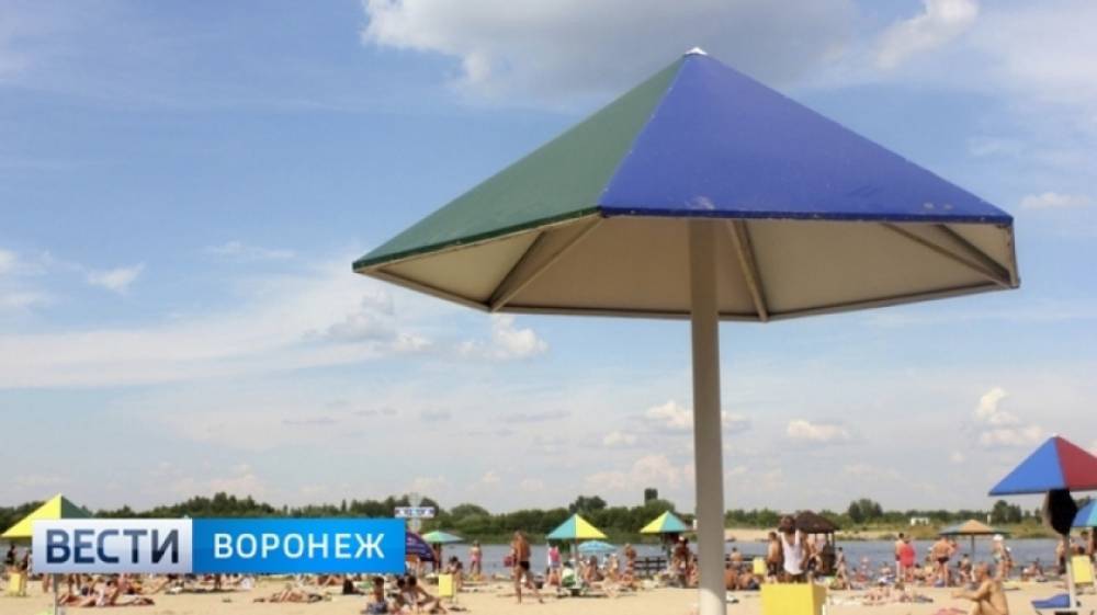 Санврачи забраковали восемь воронежских пляжей - vestivrn.ru - Воронеж