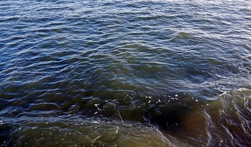 Александр Усс - МЧС заявило о нормальной экологической обстановке на озере Пясино под Норильском - nashgorod.ru - Красноярский край - Норильск