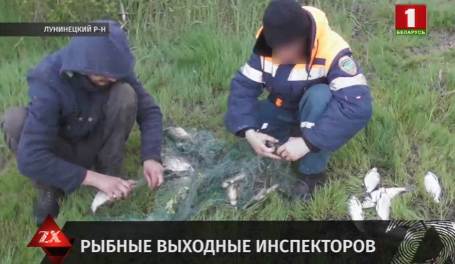 Большой рейд по Припяти устроили инспекторы природоохраны - tvr.by - район Лунинецкий
