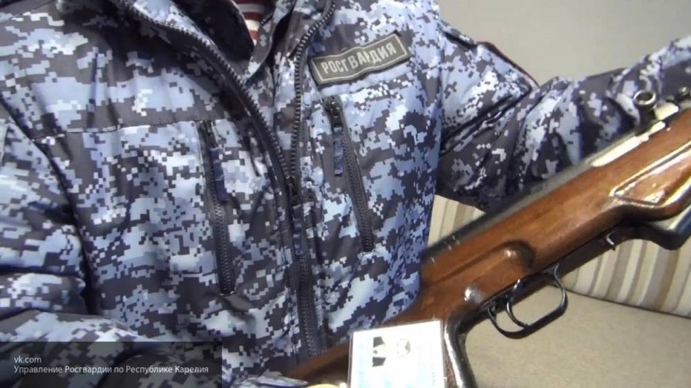 В Госдуму внесен законопроект на право получения продовольственного пайка в Росгвардии - politexpert.net - Россия