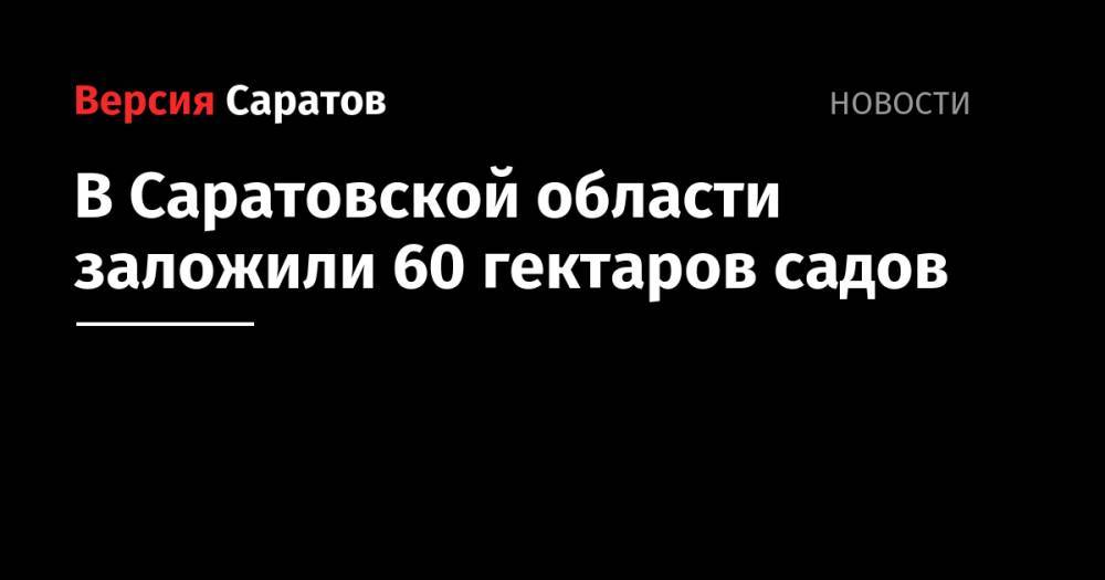 Валерий Радаев - В Саратовской области заложили 60 гектаров садов - nversia.ru - Саратовская обл.