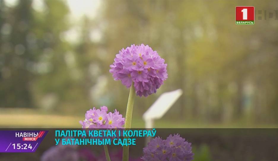 Живописные пейзажи ждут посетителей Ботанического сада - tvr.by