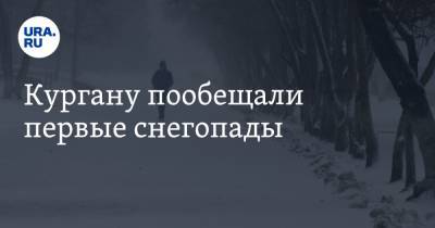 Илья Винштейн - Кургану пообещали первые снегопады - ura.news