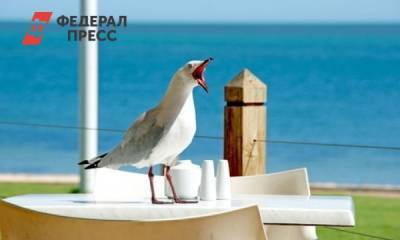 Майя Ломидзе - В России резко вырос спрос на туристические поездки - fedpress.ru - Москва - Россия