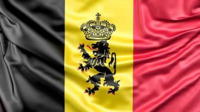 король Филипп - Софи Вильмес - Александер Де-Кроо - Новое правительство Бельгии во главе с Александером Де Кроо приведено к присяге - piter.tv - Бельгия