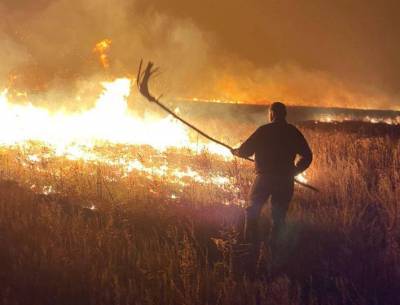 Пожары в Луганской области: девять погибших, эвакуированы около тысячи человек - prm.ua - Луганская обл. - Северодонецк