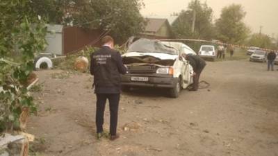 Песчаная буря в Ростовской области повалила дерево на машину: 2 погибших, возбуждено дело - newdaynews.ru - Россия - Ростовская обл. - респ. Калмыкия - Ставрополье