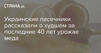 Украинские пасечники рассказали о худшем за последние 40 лет урожае меда - strana.ua - Украина