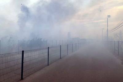 Пожары на Луганщине серьезно повредили КПВВ Станица Луганская - real-vin.com - Украина