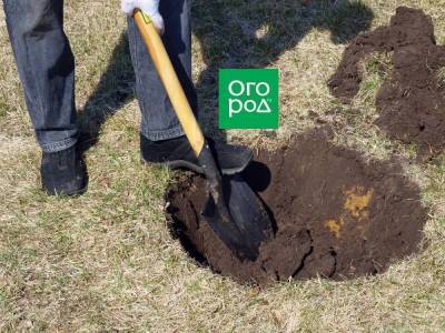 Правильная посадочная яма: размеры, сроки, удобрения (в таблицах) - skuke.net