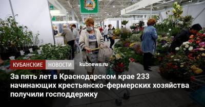 Вениамин Кондратьев - За пять лет в Краснодарском крае 233 начинающих крестьянско-фермерских хозяйства получили господдержку - kubnews.ru - Краснодарский край - Краснодар