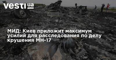 Василий Боднар - МИД: Киев приложит максимум усилий для расследования по делу крушения МН-17 - vesti.ua - Украина - Киев - Голландия