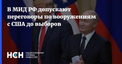 Дональд Трамп - Владимир Путин - Сергей Рябков - Василий Небензя - В МИД РФ допускают переговоры по вооружениям с США до выборов - nsn.fm - Москва - Россия - США - Переговоры