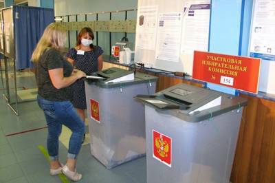 ВЦИОМ: 78% россиян назвали многодневное голосование удобным - aif.ru