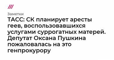 Оксана Пушкина - ТАСС: СК планирует аресты геев, воспользовавшихся услугами суррогатных матерей. Депутат Оксана Пушкина пожаловалась на это генпрокурору - tvrain.ru - Москва - Россия