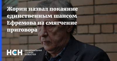 Михаил Ефремов - Сергей Жорин - Сергей Захаров - Эльман Пашаев - Жорин назвал покаяние единственным шансом Ефремова на смягчение приговора - nsn.fm