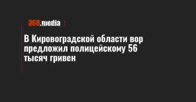 В Кировоградской области вор предложил полицейскому 56 тысяч гривен - 368.media - Кировоградская обл. - Кировоград