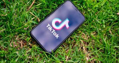 Арман Татоян - Офис блокированного в Армении приложения TikTok связался с омбудсменом Татояном - ru.armeniasputnik.am - Армения