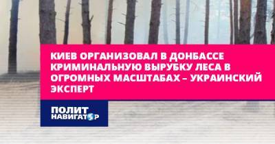 Руслан Бортник - Киев организовал в Донбассе криминальную вырубку леса в огромных... - politnavigator.net - Россия - Украина - Киев - Луганская обл. - Донбасс - Донецкая обл.