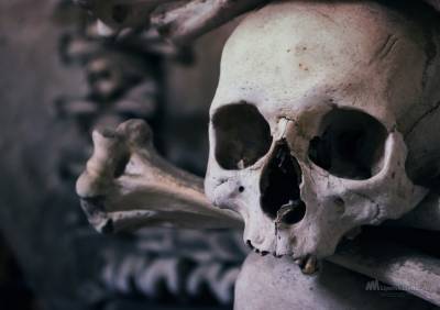 Труп женщины с проломленным черепом нашли под Липецком - lipetskmedia.ru - район Грязинский