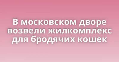 В московском дворе возвели жилкомплекс для бродячих кошек - skuke.net - Россия - респ. Алания - Стамбул - район Свиблово - Интересно