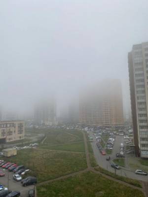 В воскресенье утренний Петербург окутал густой туман - piter.tv - Ленинградская обл. - Санкт-Петербург