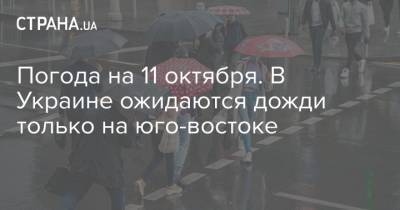 Погода на 11 октября. В Украине ожидаются дожди только на юго-востоке - strana.ua - Украина - Киев - Кировоградская обл. - Днепропетровская обл. - Полтавская обл.