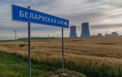 В Беларуси запустили цепную реакцию на АЭС - korrespondent.net - Белоруссия