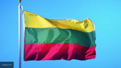 Голосование на выборах в парламент стартовало в Литве - newinform.com - Литва