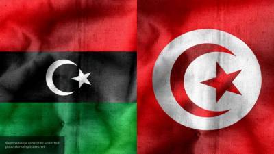 Стефани Уильямс - Вадим Наумов - Переговоры между Западом и Востоком Ливии проведут в Тунисе в ноябре - nation-news.ru - Ливия - Тунис - Тунисская Респ.