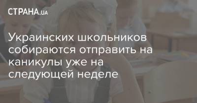 Михаил Радуцкий - Виктор Ляшко - Украинских школьников собираются отправить на каникулы уже на следующей неделе - strana.ua - Украина - Киев