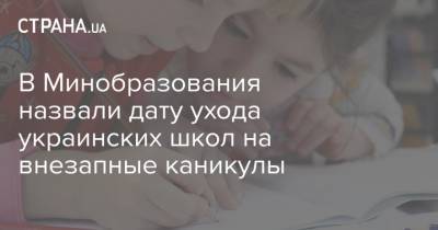 Михаил Радуцкий - Сергей Шкарлет - В Минобразования назвали дату ухода украинских школ на внезапные каникулы - strana.ua - Украина