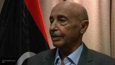 Агила Салех - Агила Салех обсудил с делегациями племен Ливии возвращение к мирной жизни - polit.info - Ливия